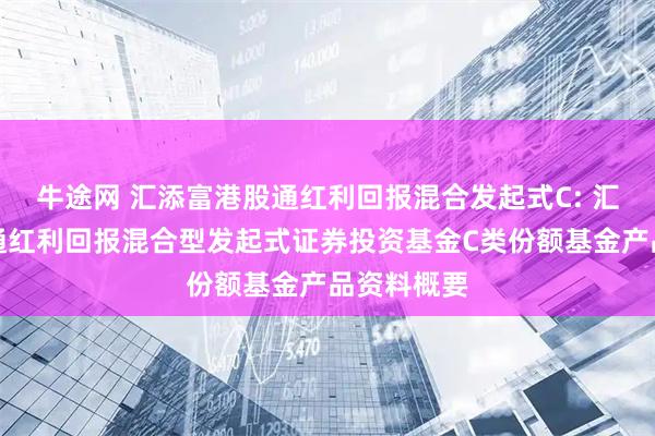 牛途网 汇添富港股通红利回报混合发起式C: 汇添富港股通红利回报混合型发起式证券投资基金C类份额基金产品资料概要